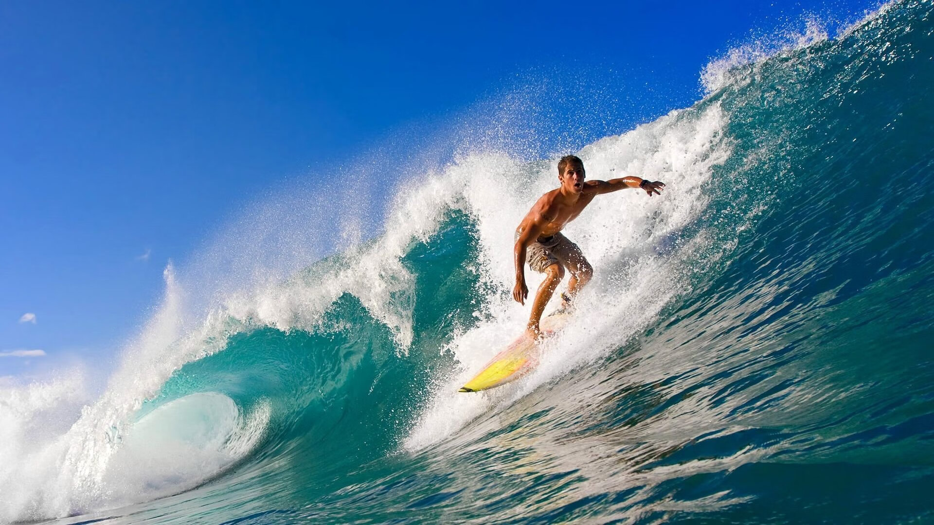 掘金团队篮球继续发光，约基奇统治力惊人，掘金球员约基奇个人资料